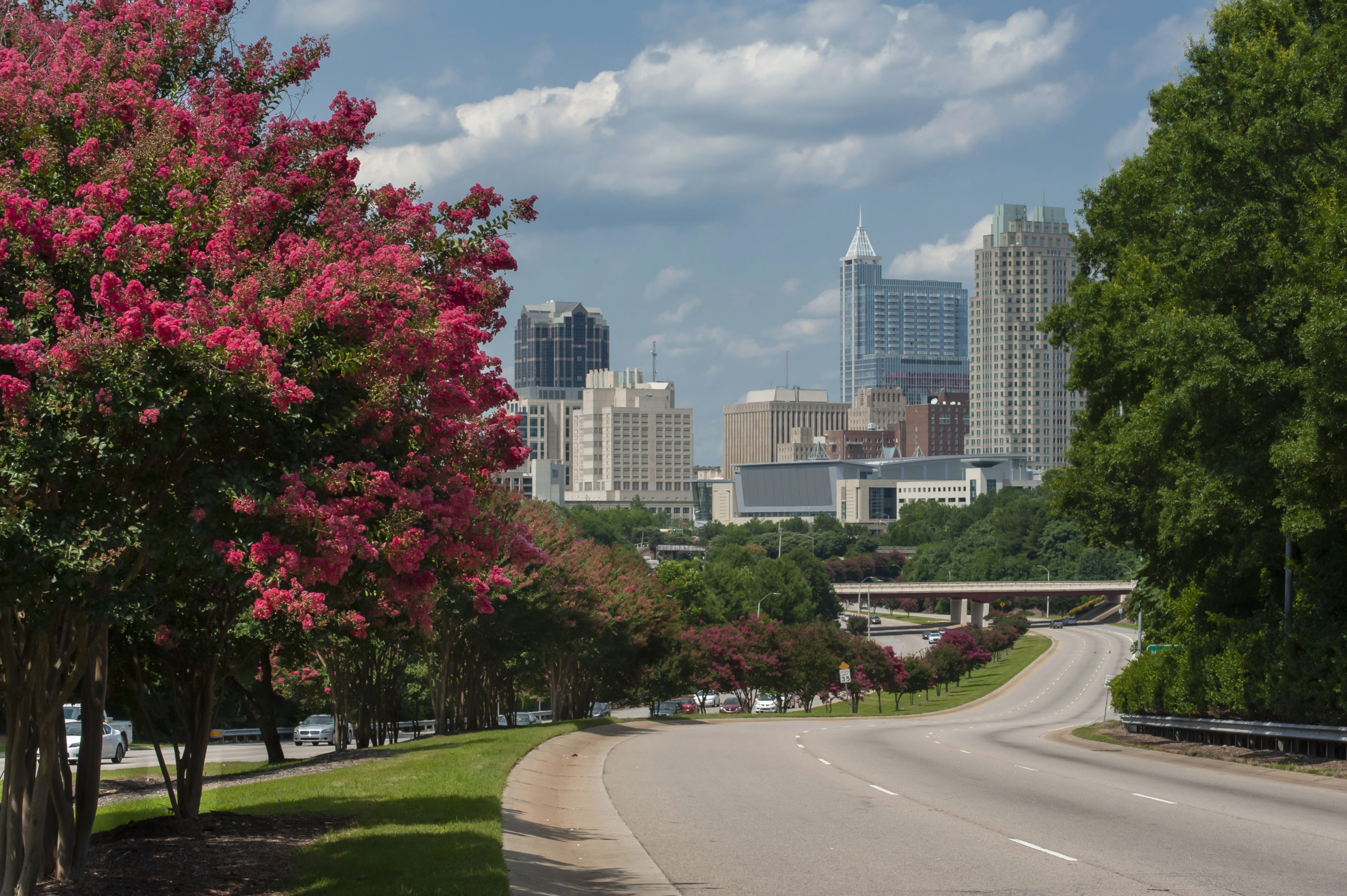 Best Neighborhoods for First-Time Homebuyers in Raleigh, NC