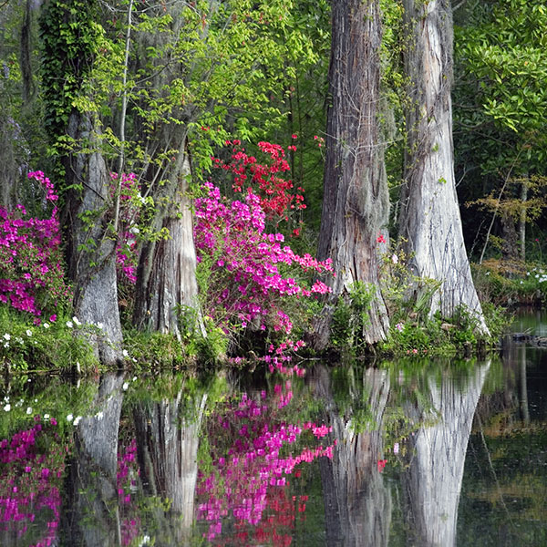 Sumter, SC